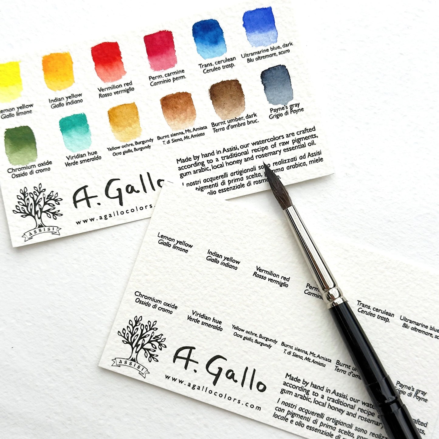 Classic 12 - Handmade Watercolor Set