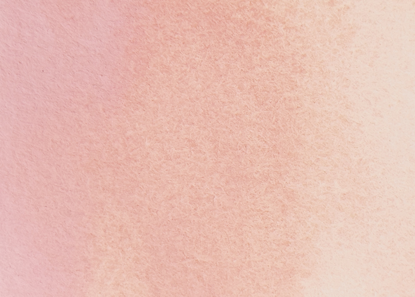 Rosa 22 - half pan
