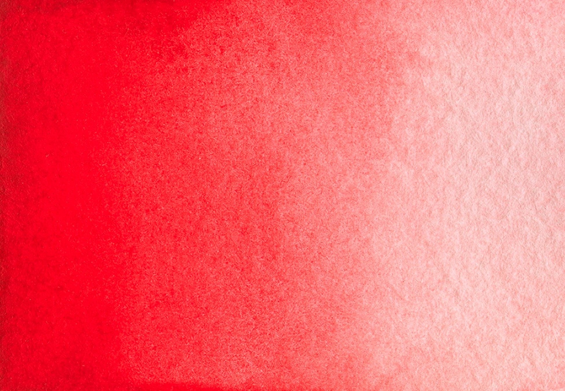 Medici red - half pan