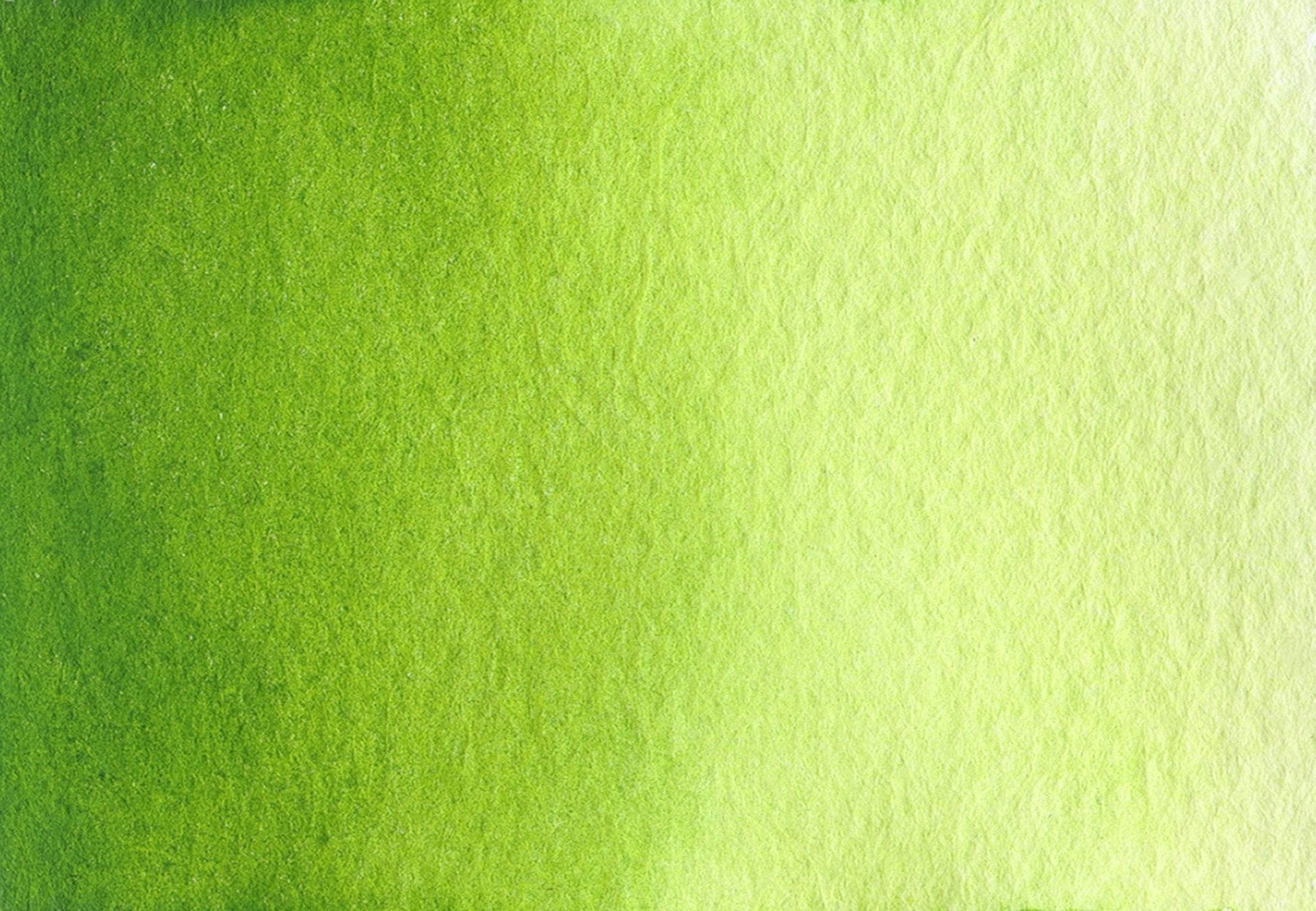 Sap green - Half pan