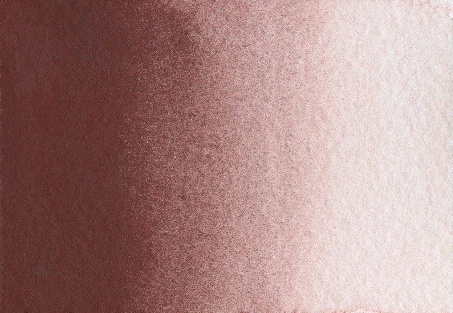 Morellone - Half pan