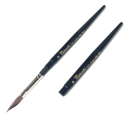 Tintoretto Special pocket brushes
