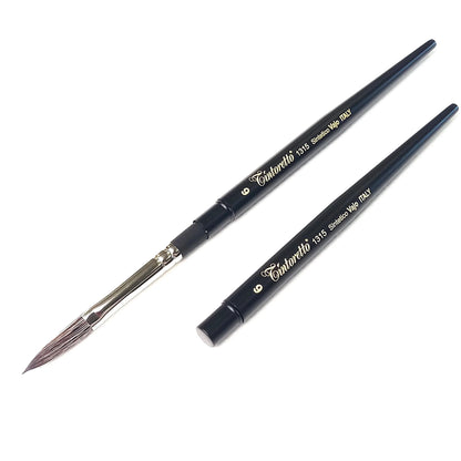 Tintoretto Special pocket brushes