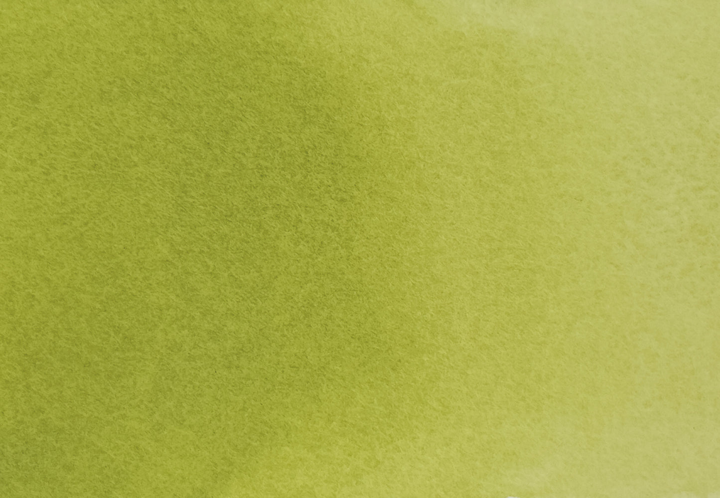 Avocado Green - half pan