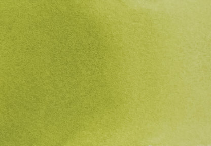 Avocado Green - half pan