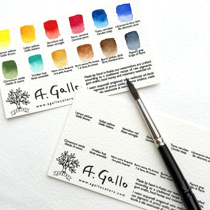 Classic 12 - Handmade Watercolor Set