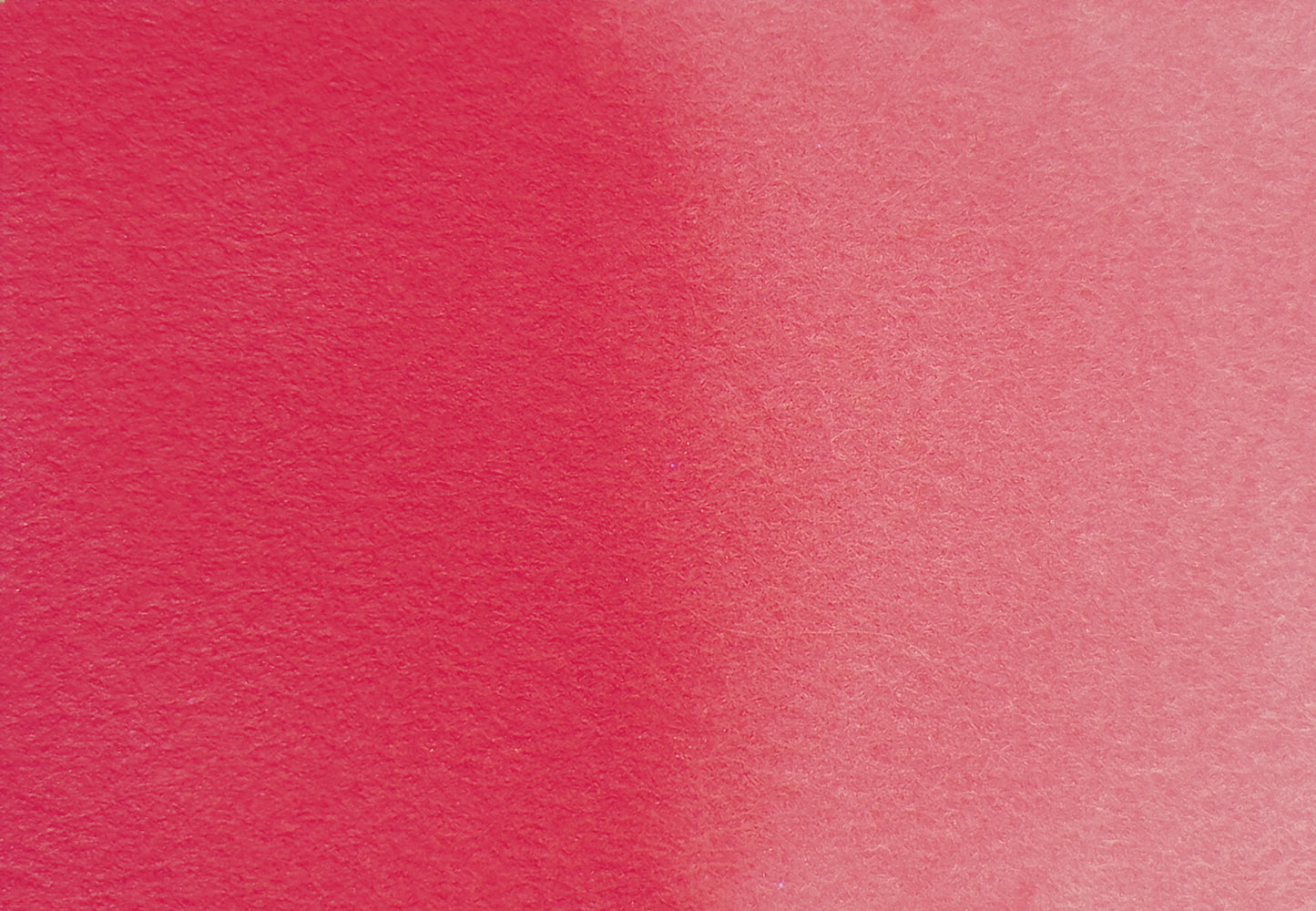 Fuchsia - half pan