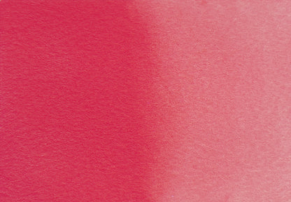 Fuchsia - half pan