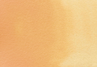 Jaune Brilliante 2 - half pan