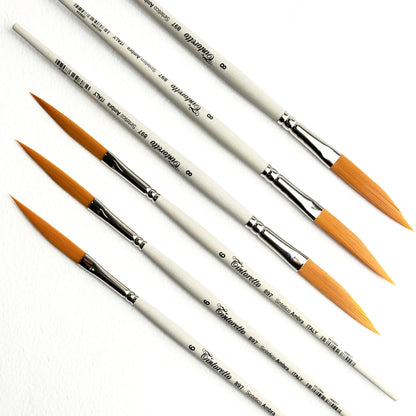 مجموعة متنوعة من الفرش من تينتوريتو 