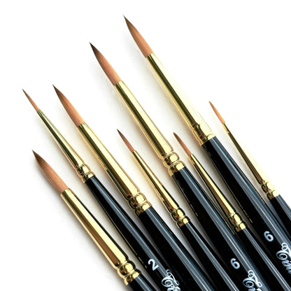 مجموعة متنوعة من الفرش من تينتوريتو 