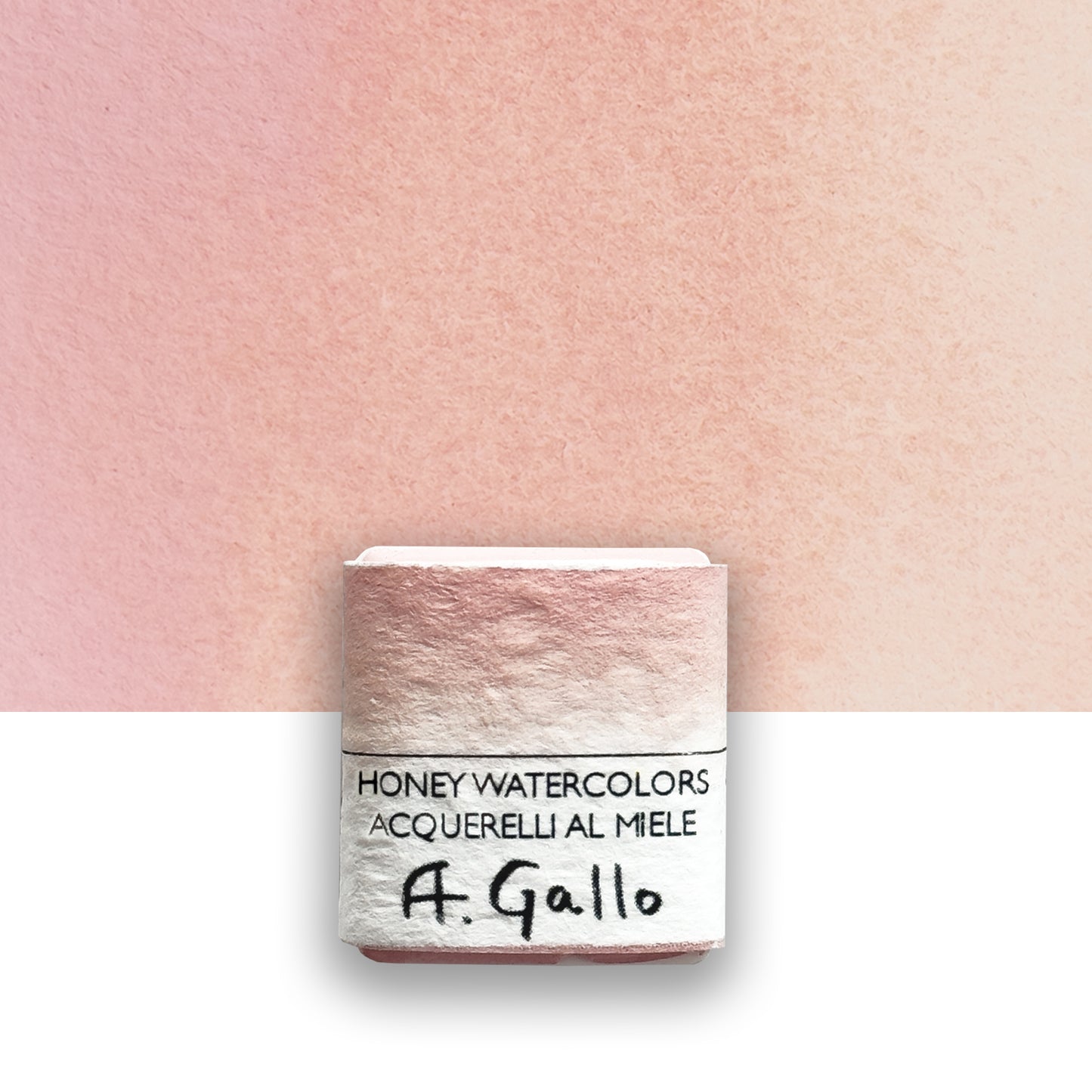 Rosa 22 - half pan