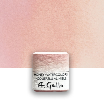 Rosa 22 - half pan
