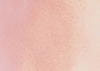 Rosa 22 - half pan