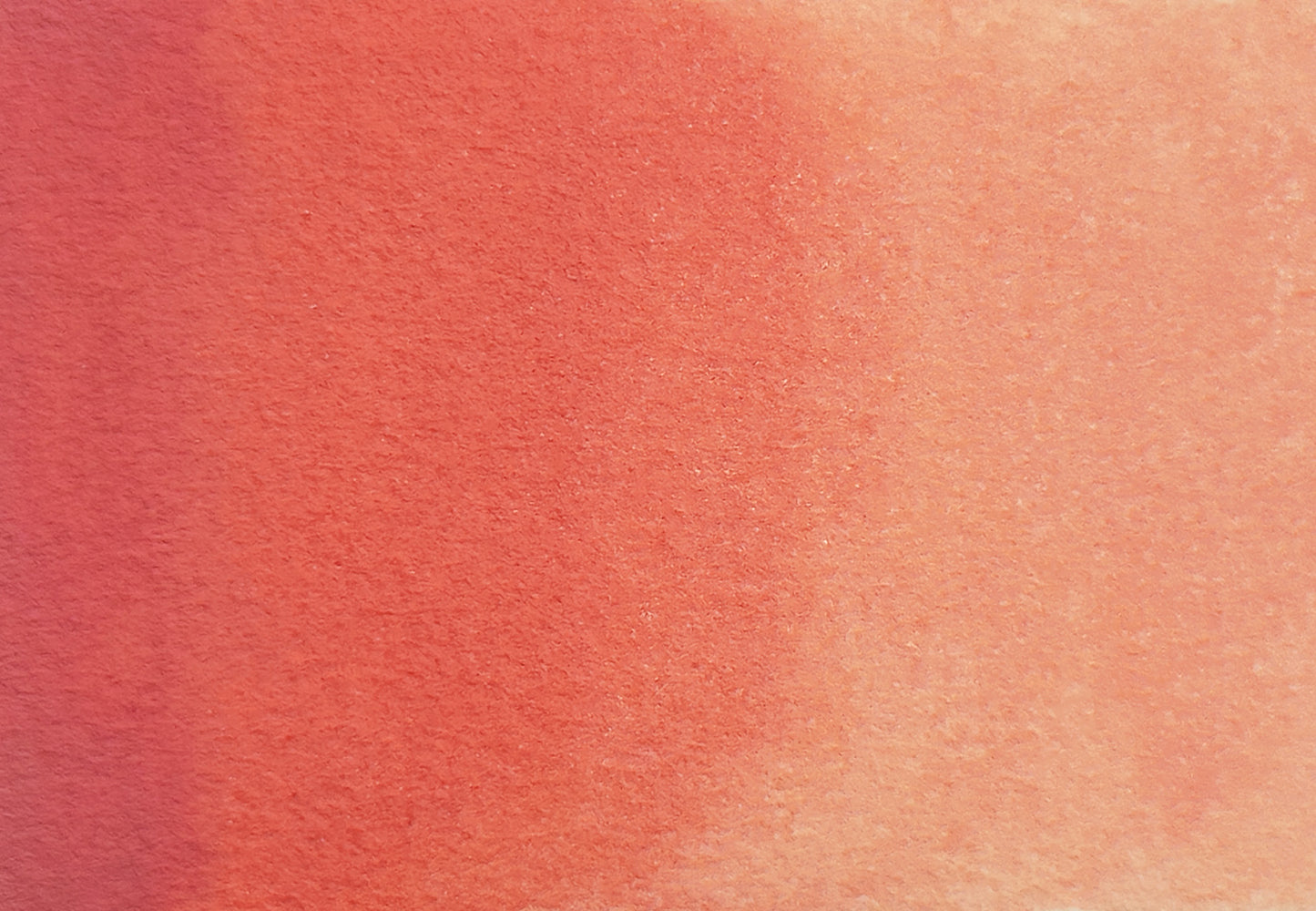 Antique Rose - half pan