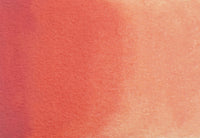 Antique Rose - half pan