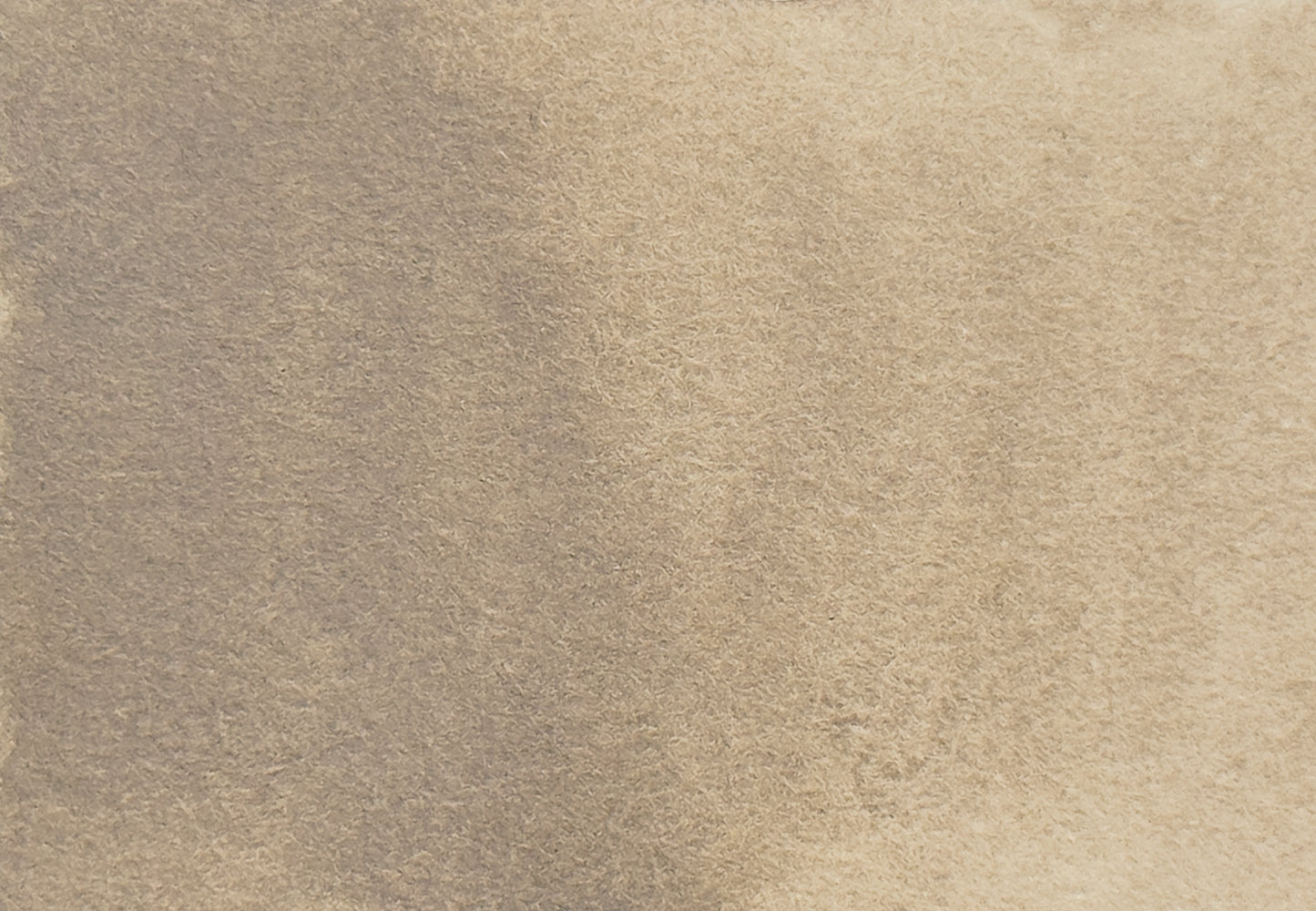 Warm Gray - half pan