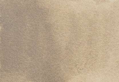 Warm Gray - half pan