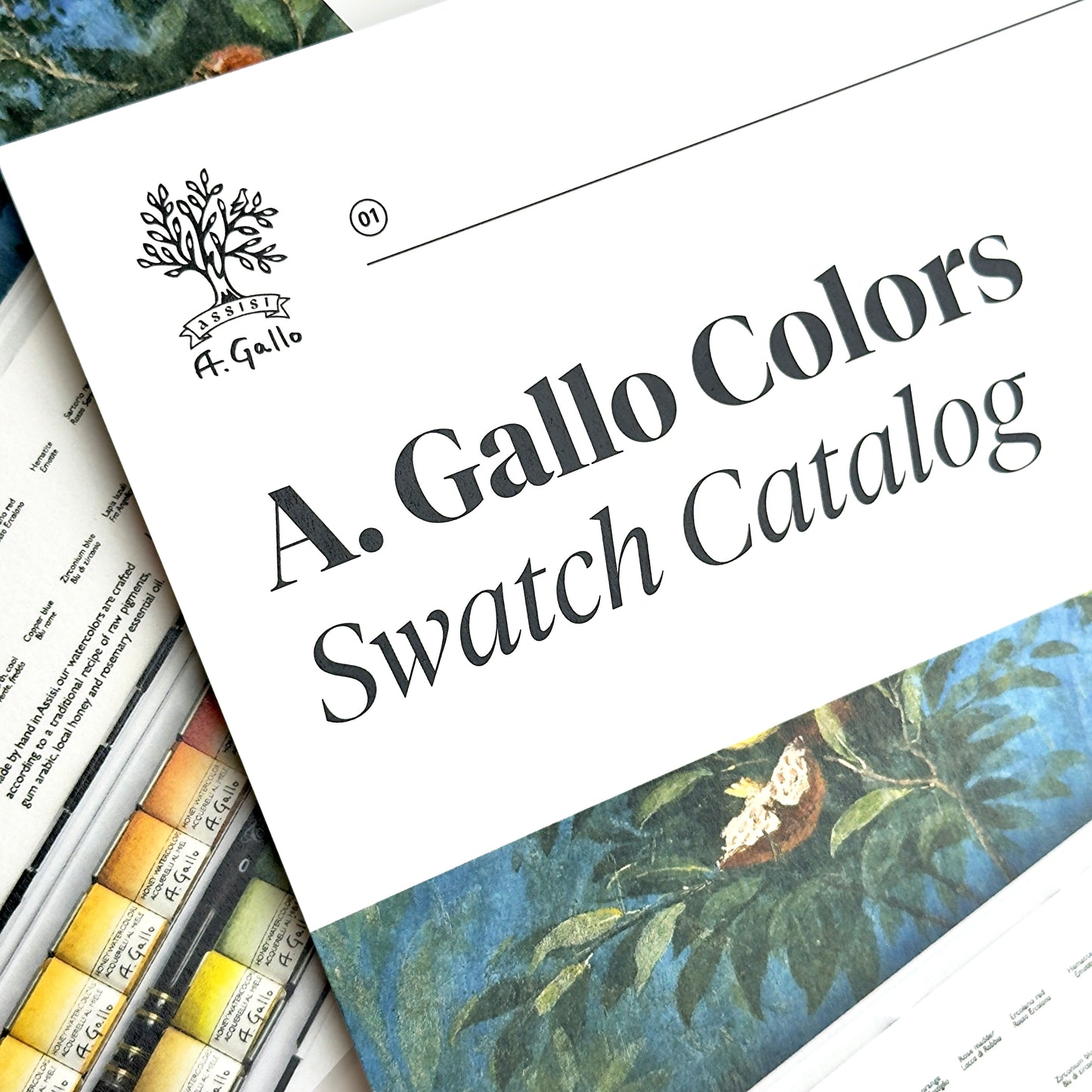 Color Catalog - Deluxe Edition