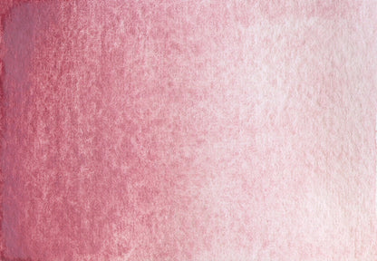 Potter's Pink - half pan